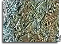 The Need for Europa Surface Missions