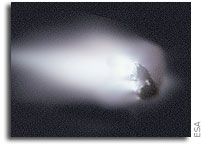 Many Famous Comets Originally Formed in Other Solar Systems