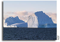Antarctic Icebergs Play a Previously Unknown Role in Global Carbon Cycle, Climate