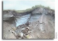 Bacterial Community in Ancient Siberian Permafrost as Characterized by Culture and Culture-Independent Methods