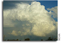 Gamma rays from thunderstorms?